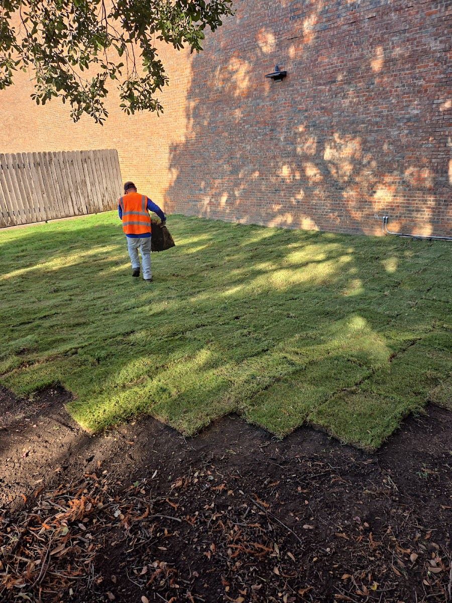 Tree service in Southlake, TX by Sion Tree Service