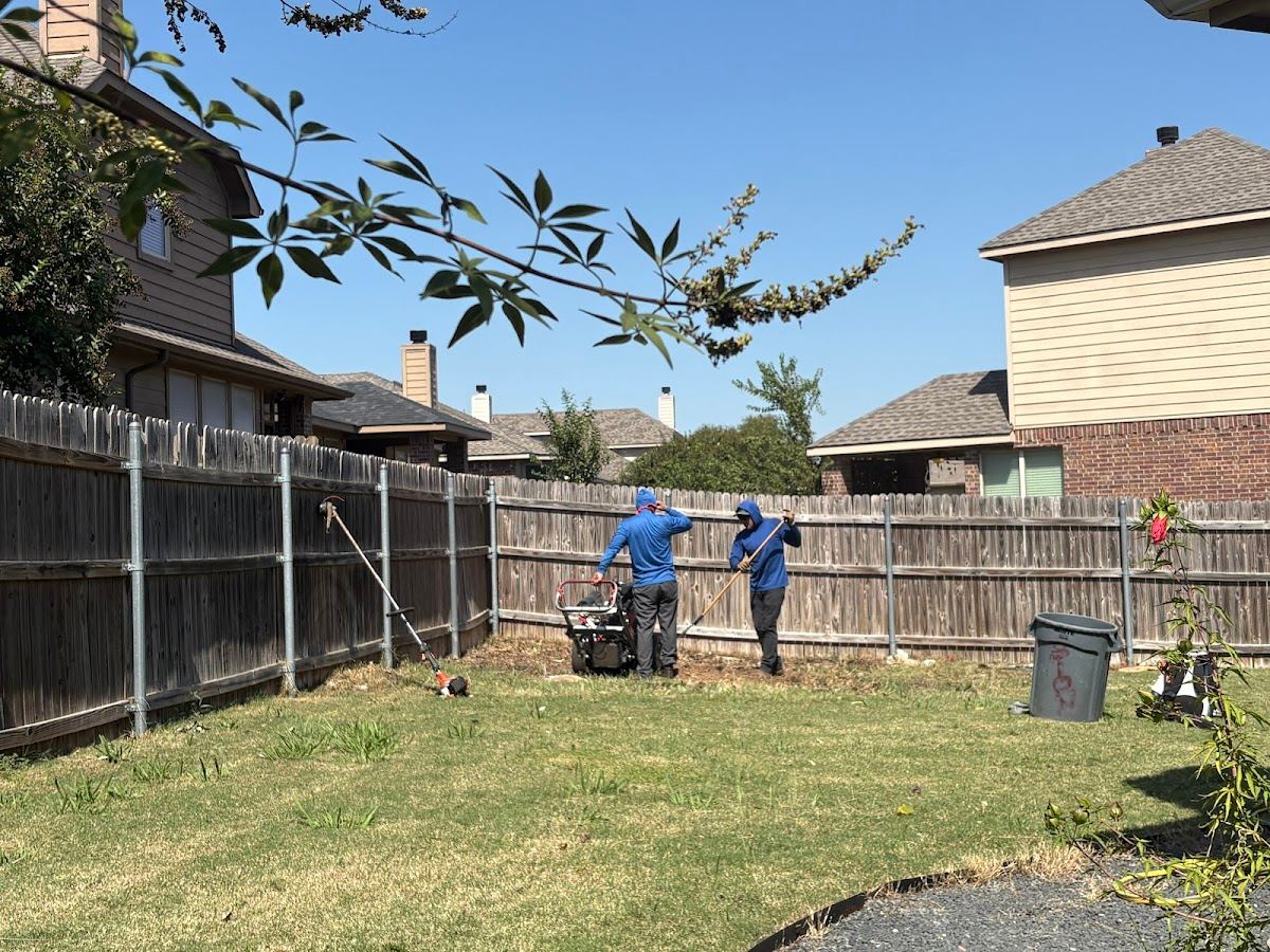 Tree service in Mansfield, TX by Sion Tree Service
