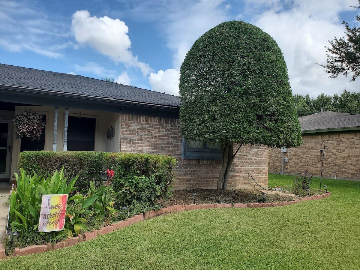 Tree service in Weatherford, TX by Sion Tree Service