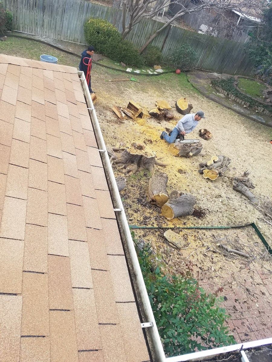 Tree service in Saginaw, TX by Sion Tree Service