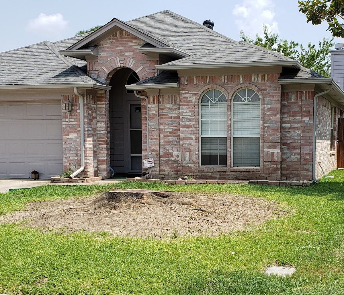 Tree service in Westworth Village, TX by Sion Tree Service
