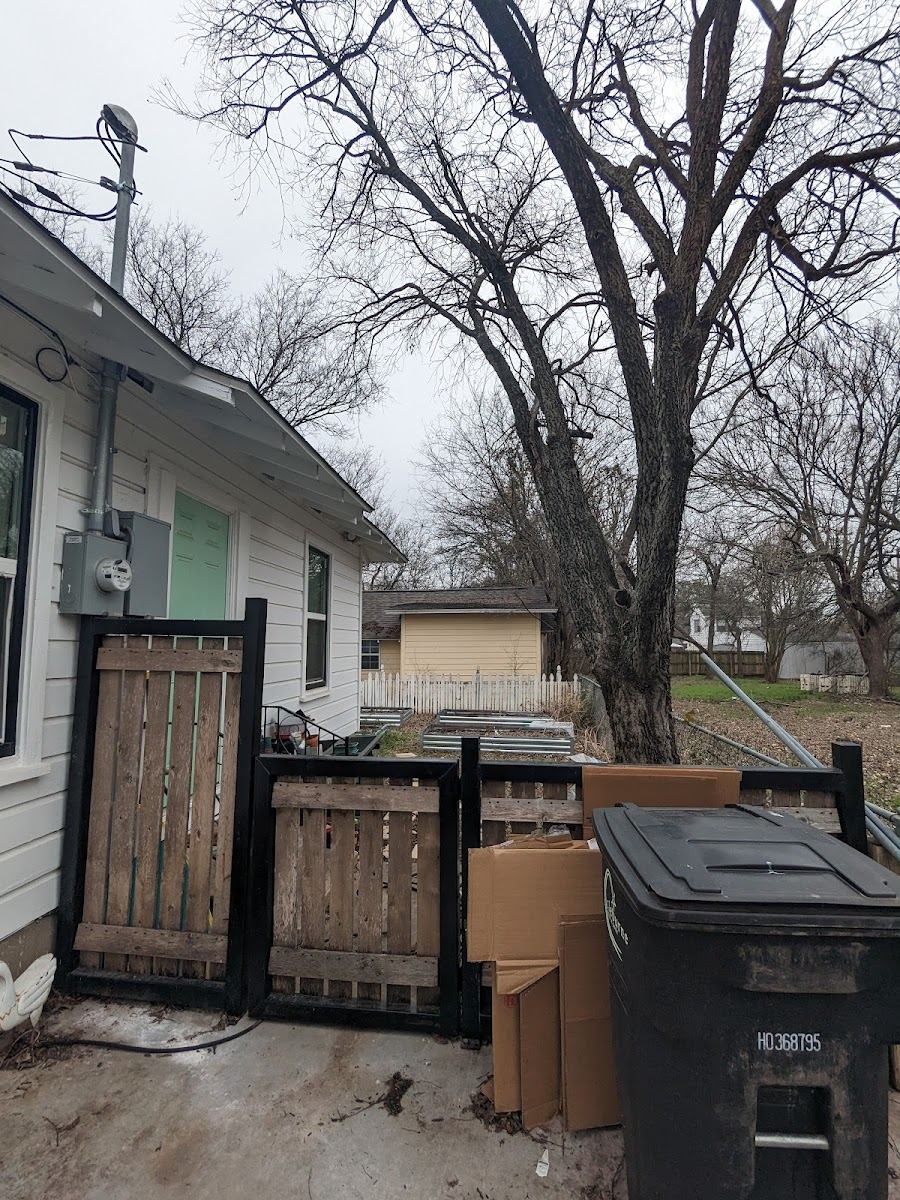 Tree service in Aledo, TX by Sion Tree Service