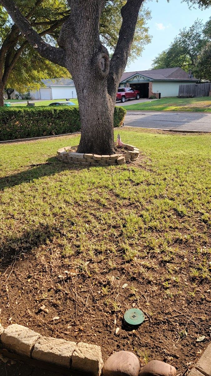 Tree service in Richland Hills, TX by Sion Tree Service