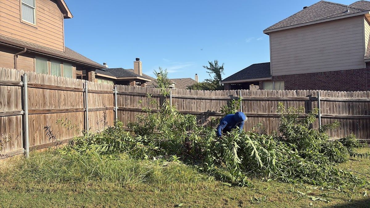 Worker gathering fallen branches and brush in a fenced Fort Worth backyard